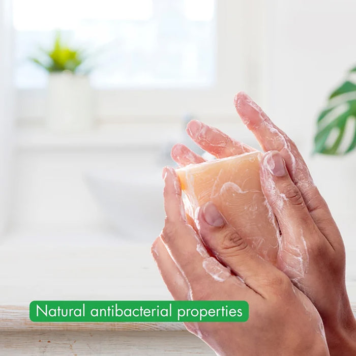A close-up of two hands holding and lathering a rectangular bar of soap in a bright.