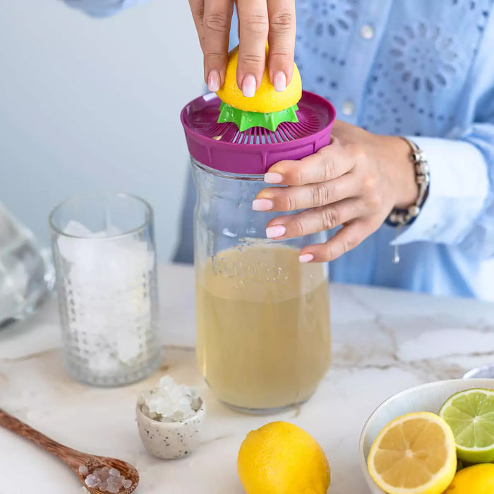 Kefirko Kefir Fermenter - Evergreen Healthfoods