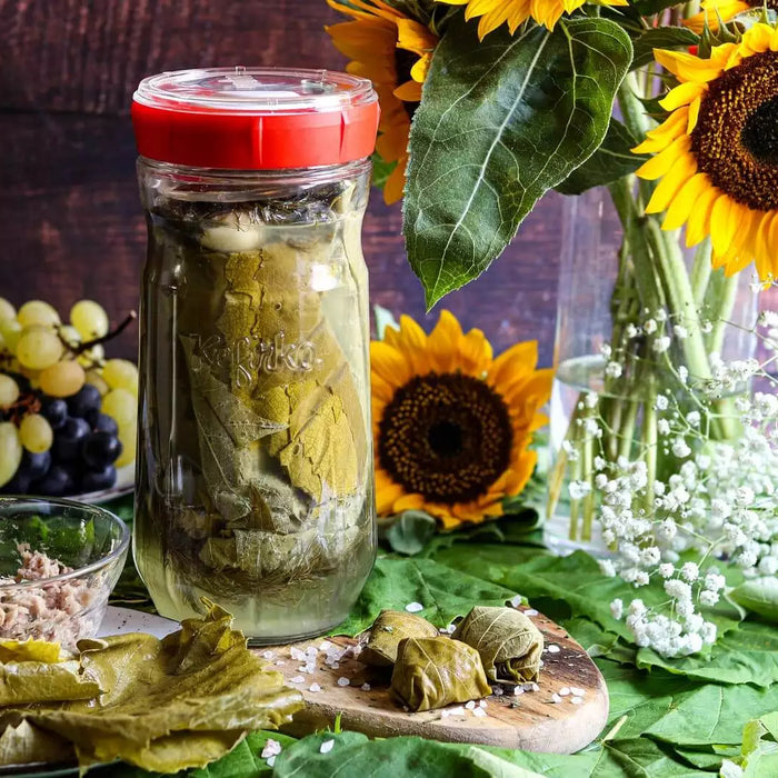 Kefirko Veggie Fermenter - Evergreen Healthfoods