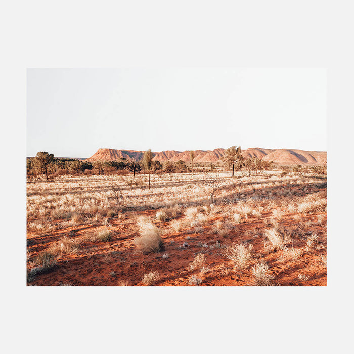 Kings Canyon