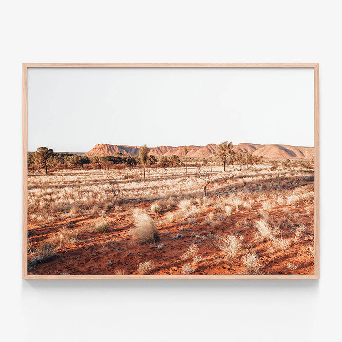 Kings Canyon