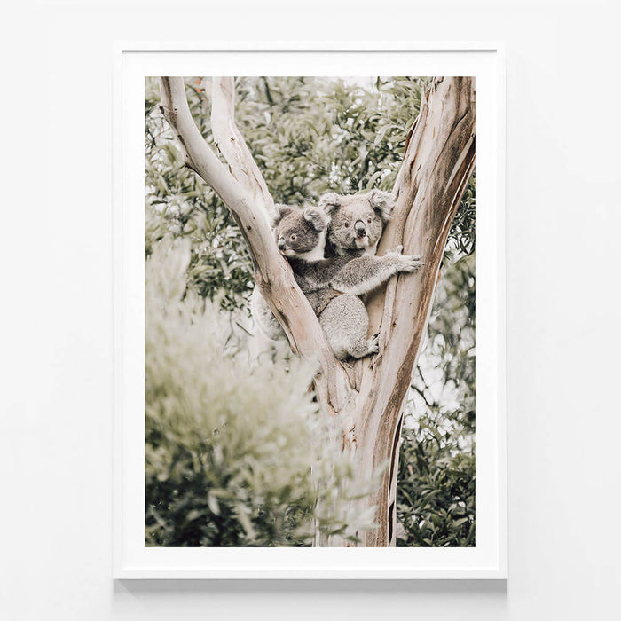 Koala & Joey