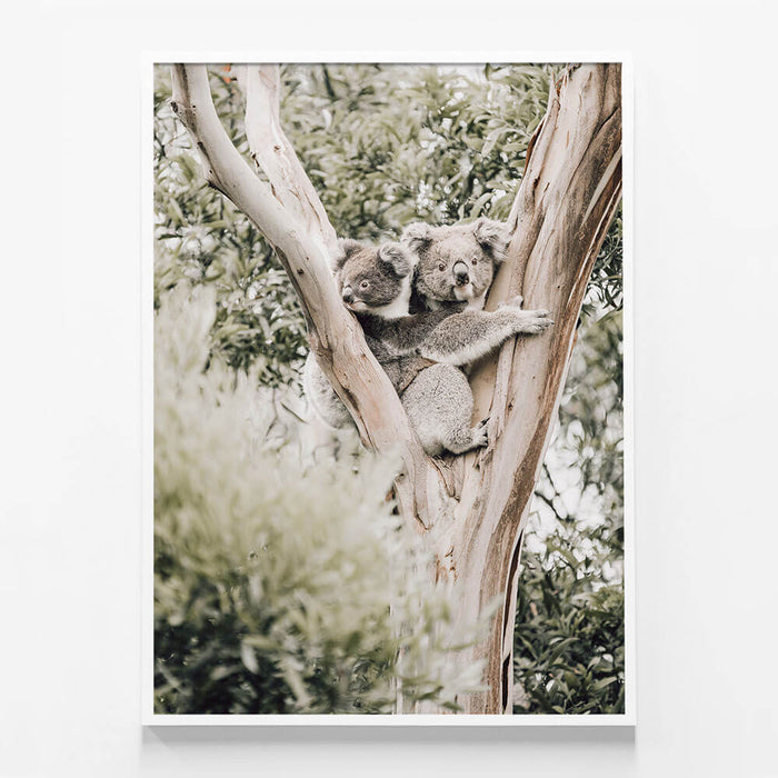 Koala & Joey