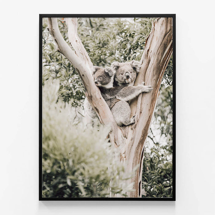 Koala & Joey