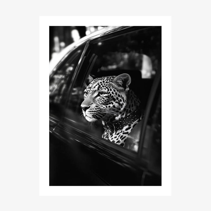 Leopard in Car wall art print