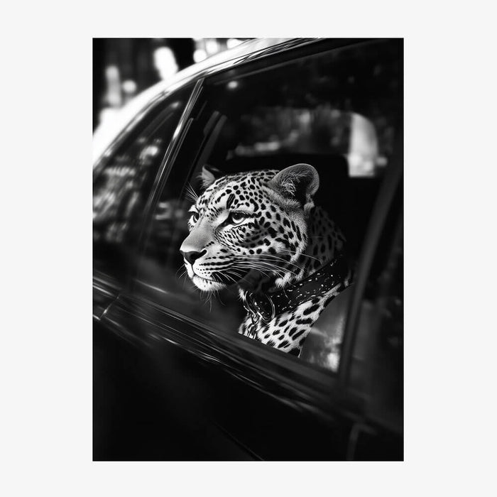 Leopard in Car