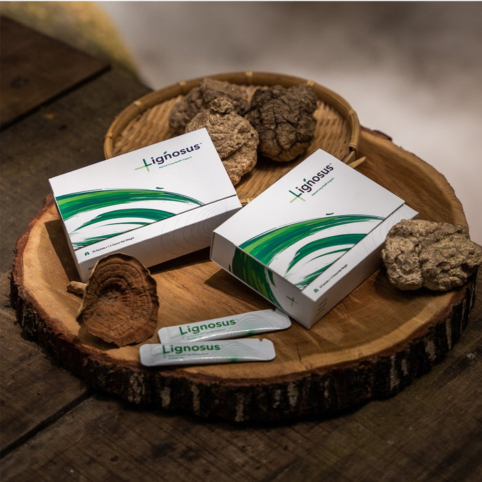 Lignosus Natural Lung Support - Evergreen Healthfoods