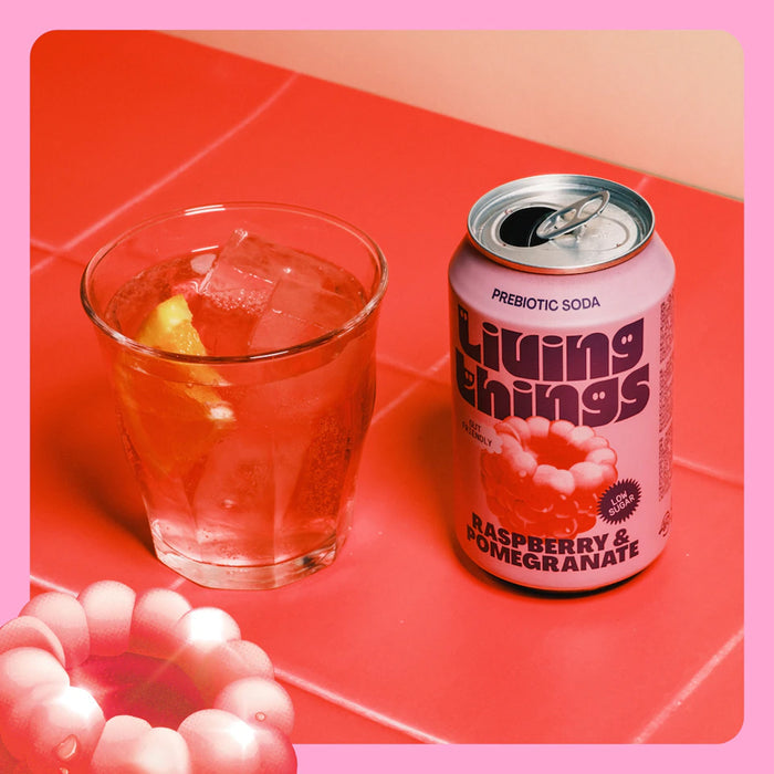 Living Things Raspberry & Pomegranate All Natural Soda Multipack