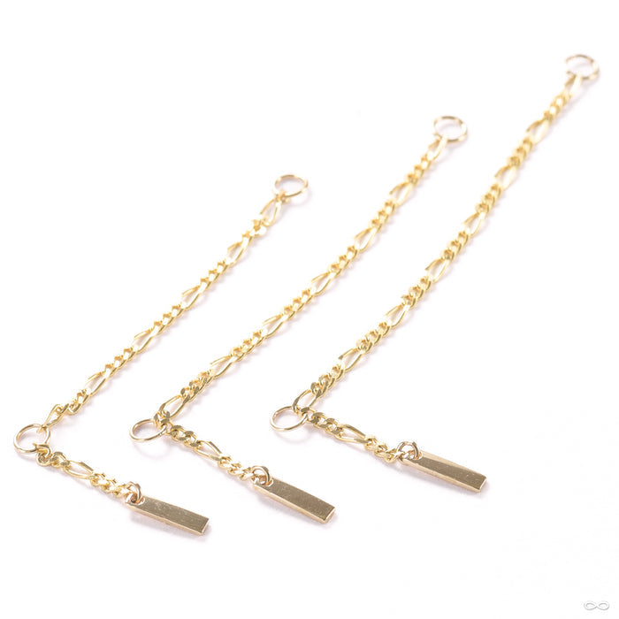 Mami Chain in Gold from Hialeah in assorted lengths