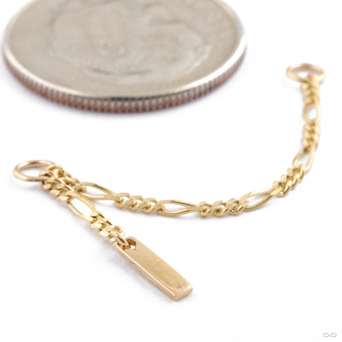 Mami Chain in 14k Yellow Gold from Hialeah