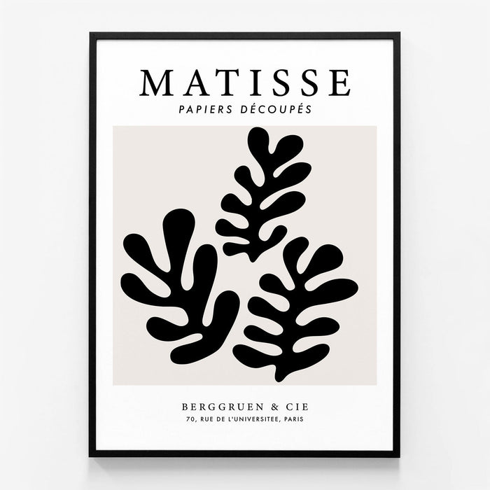 Matisse Black Coral No. 2