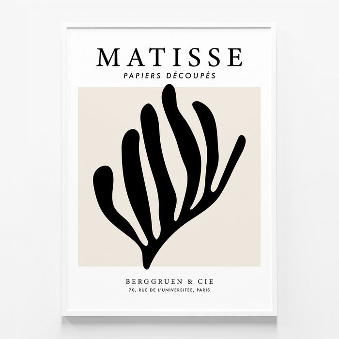 Matisse Black Coral