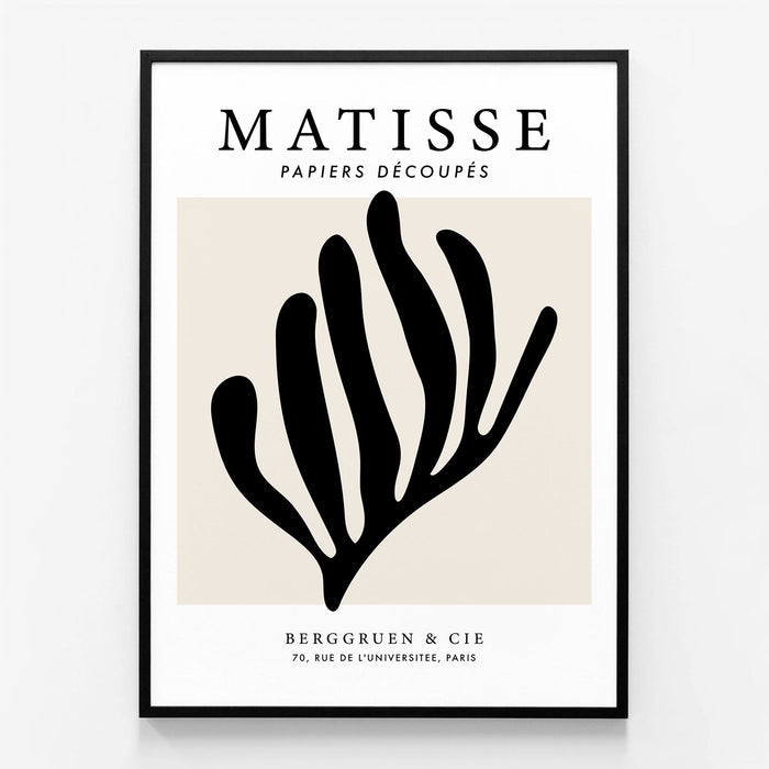 Matisse Black Coral
