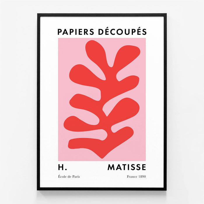 Matisse Red Coral No. 3