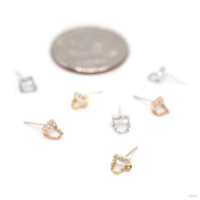 Mini Major with Chain Press-fit End in Gold from Pupil Hall in assorted materials