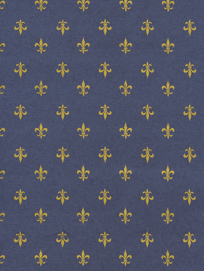 Navy & Gold Wrapping Paper