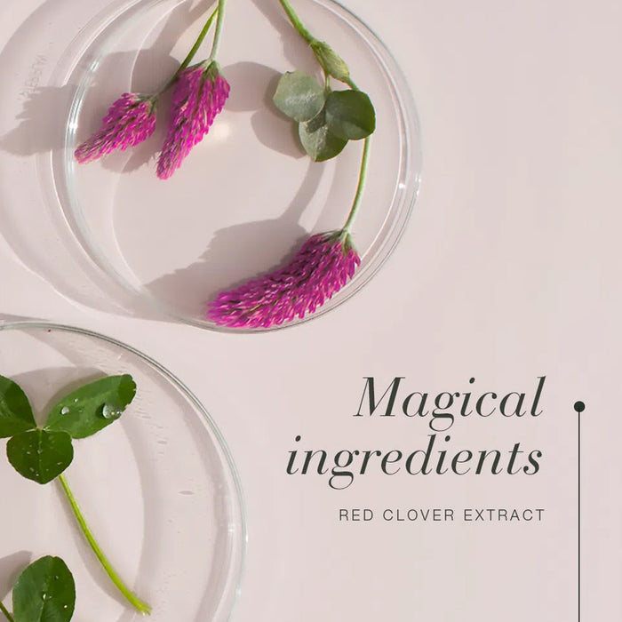 Glass plates with red clover flowers and leaves on a light pink background, labeled 'Magical ingredients Red Clover Extract'.