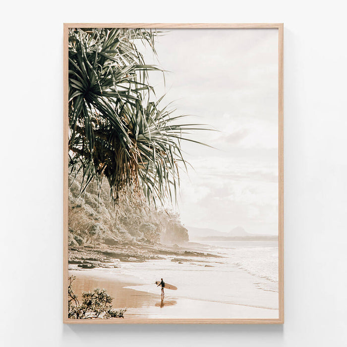 Noosa Life