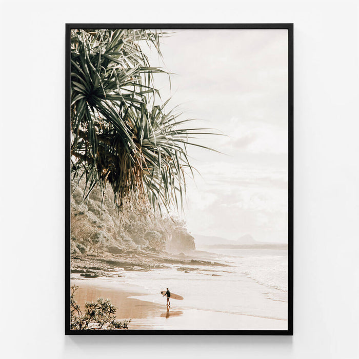 Noosa Life