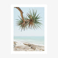 Noosa Pandanus wall art print