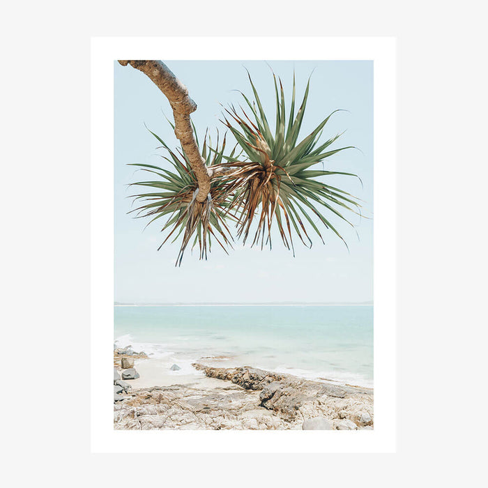 Noosa Pandanus wall art print