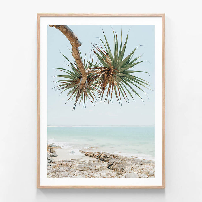 Noosa Pandanus wall art print in oak frame