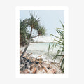Noosa Waters wall art print