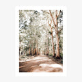 Old Vasse Road wall art print