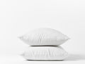 Organic Relaxed Linen Pillowcases | Alpine White