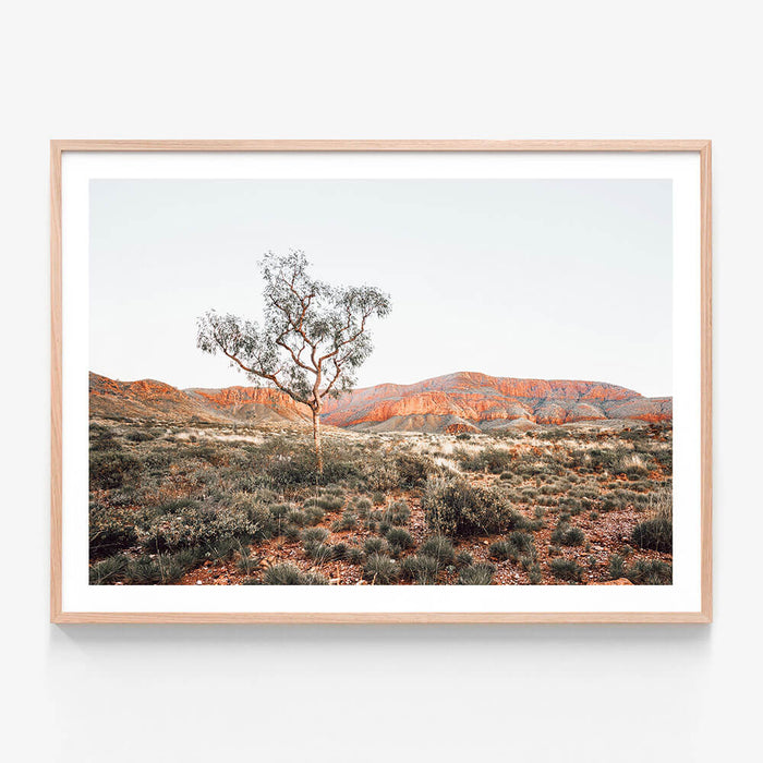 Ormiston Pound wall art print in oak frame
