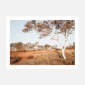 A wall art print of the Australian outback featuring a dirt road and Gum trees