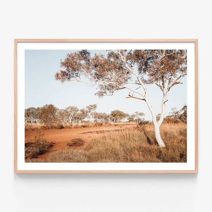 A framed art print of the Australian outback featuring a dirt road and Gum trees