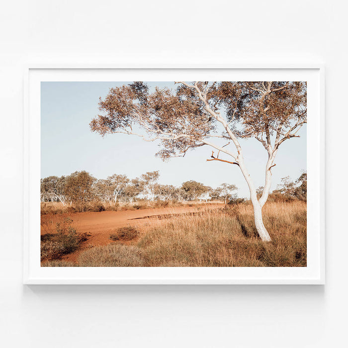 Outback Gum