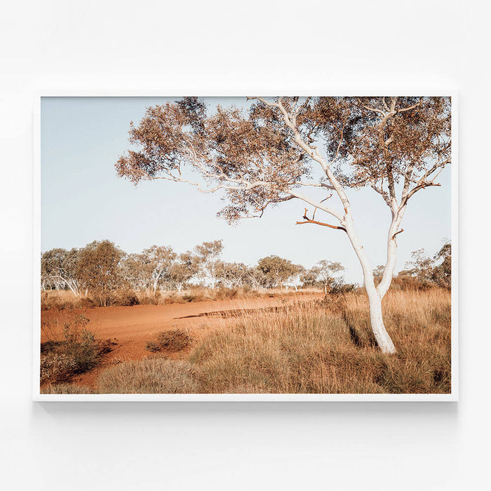 Outback Gum
