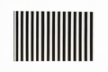 Outdoor Layering Rug, Stripe, size 24x36
