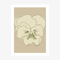 Pansy Lines wall art print
