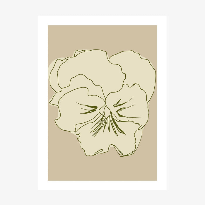 Pansy Lines wall art print
