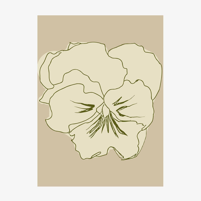 Pansy Lines