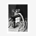 Perfume and Pearls wall art print