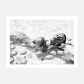 Poolside Fruits 2 wall art print