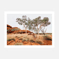 A photo print featuring the Australian outback landscape with Red Iron Rocks and gum trees.