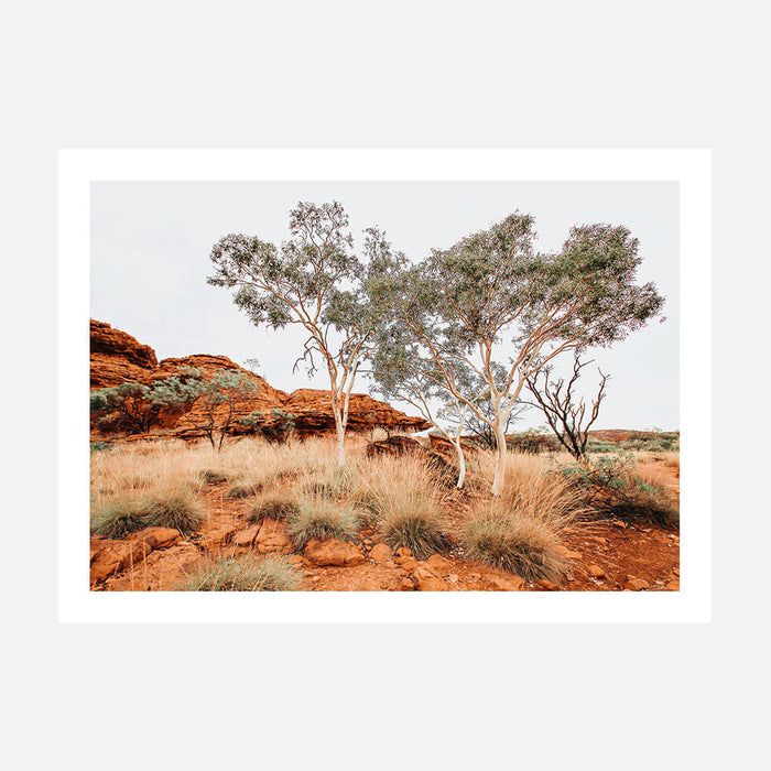 A photo print featuring the Australian outback landscape with Red Iron Rocks and gum trees.