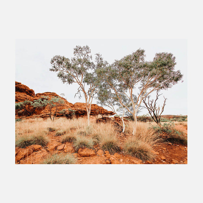 Red Iron Rocks