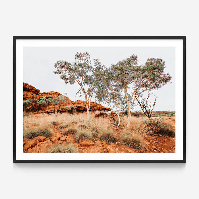 Red Iron Rocks