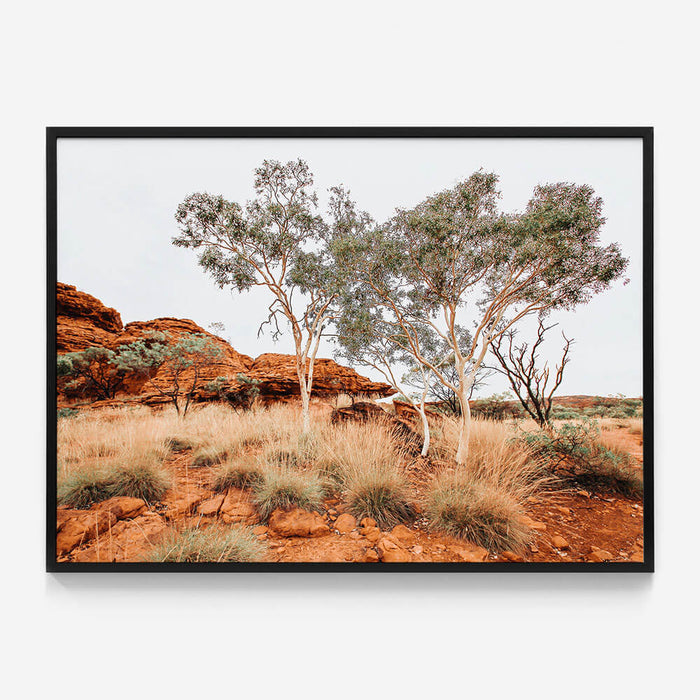 Red Iron Rocks