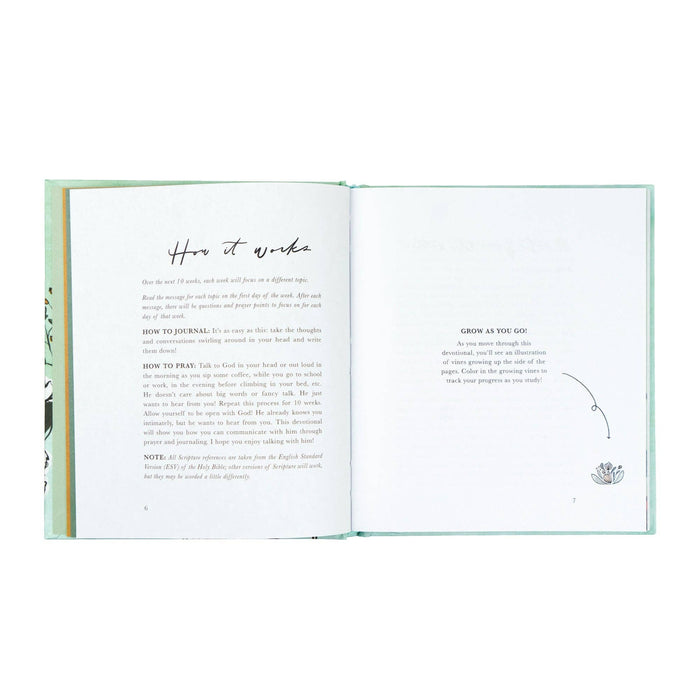 Rooted to Rise by Haley Crabtree