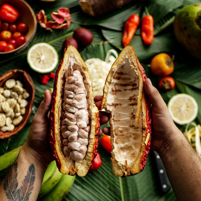 Saoró In Beauty I Walk Amazonia Cacao
