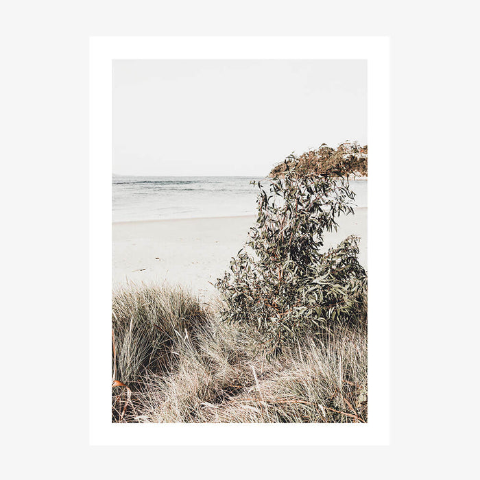 Serene Coast wall art print