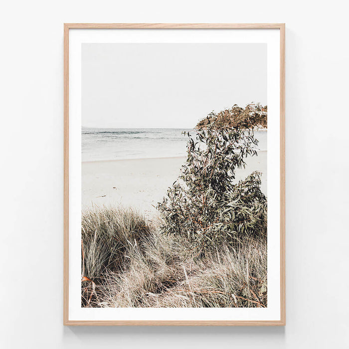 Serene Coast wall art print in oak frame