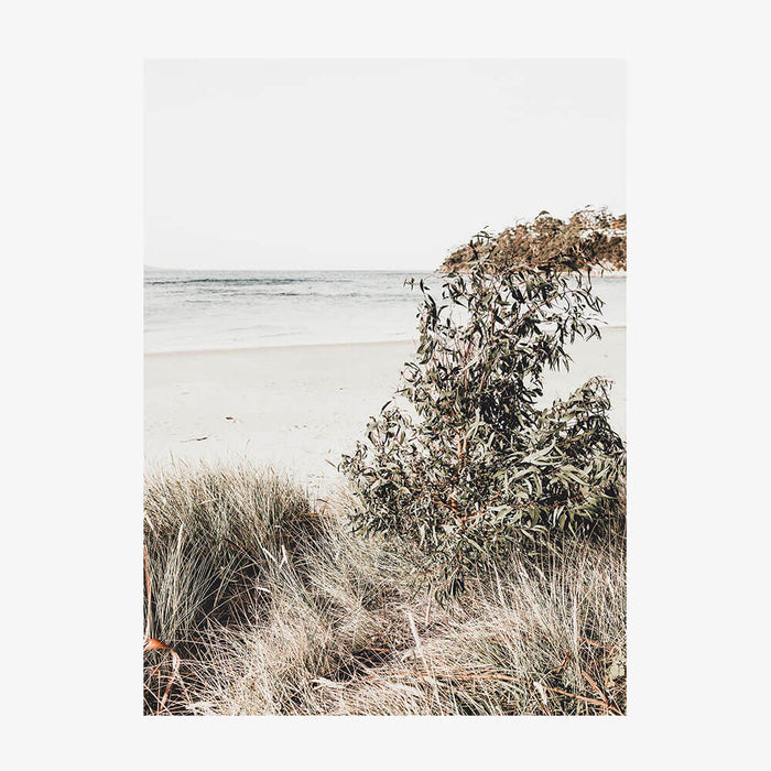 Serene Coast